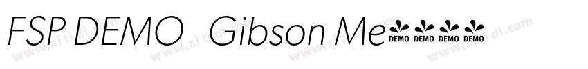 FSP DEMO   Gibson Me字体转换